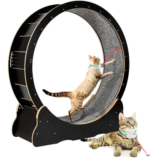Cat Exercise Wheel for Indoor Cats Pets Easy Assembled Cat Treadmill Wheel with Locking Process and Laser Cat Toy Pet Supplies